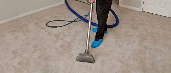 Carpet Cleaning House Business Office Dependable Affordable Best Binx North Bay